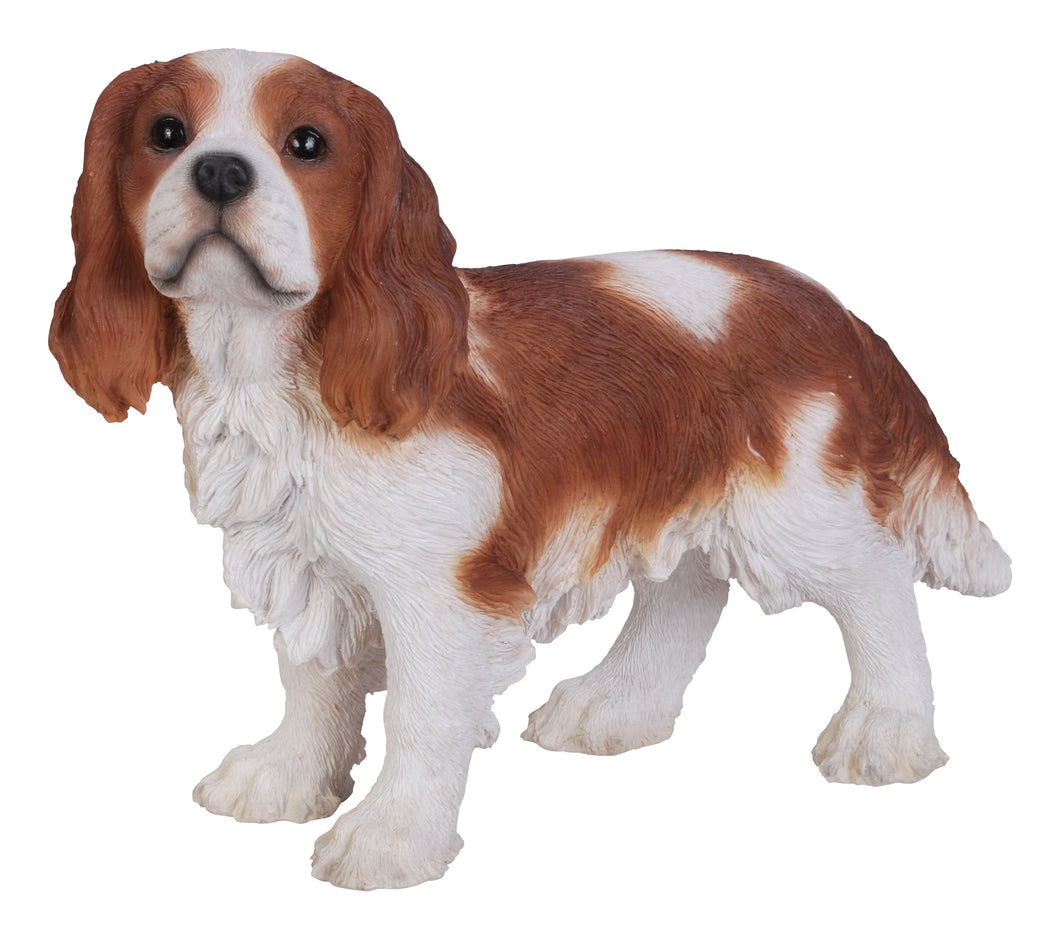 DOG-KING CHARLES SPANIEL STANDING - BROWN/WHITE