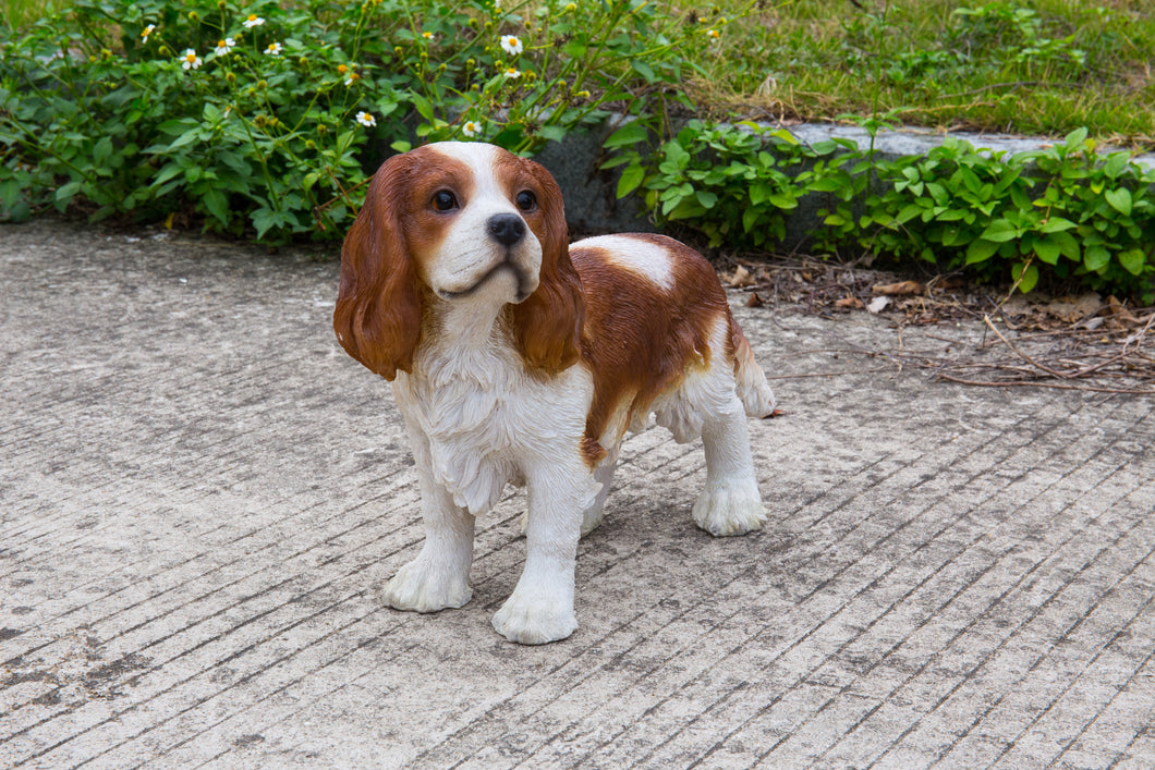 87803-B - DOG-KING CHARLES SPANIEL STANDING - BROWN/WHITE