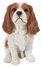 Load image into Gallery viewer, 87803-C - DOG-KING CHARLES SPANIEL SITTING - BROWN/WHITE
