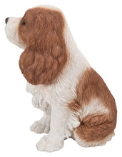 Load image into Gallery viewer, 87803-C - DOG-KING CHARLES SPANIEL SITTING - BROWN/WHITE
