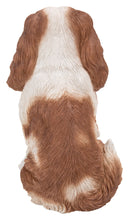 Load image into Gallery viewer, 87803-C - DOG-KING CHARLES SPANIEL SITTING - BROWN/WHITE
