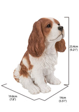 Load image into Gallery viewer, 87803-C - DOG-KING CHARLES SPANIEL SITTING - BROWN/WHITE
