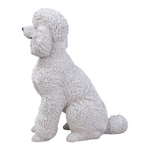 Load image into Gallery viewer, 87804 - DOG-POODLE SITTING - WHITE
