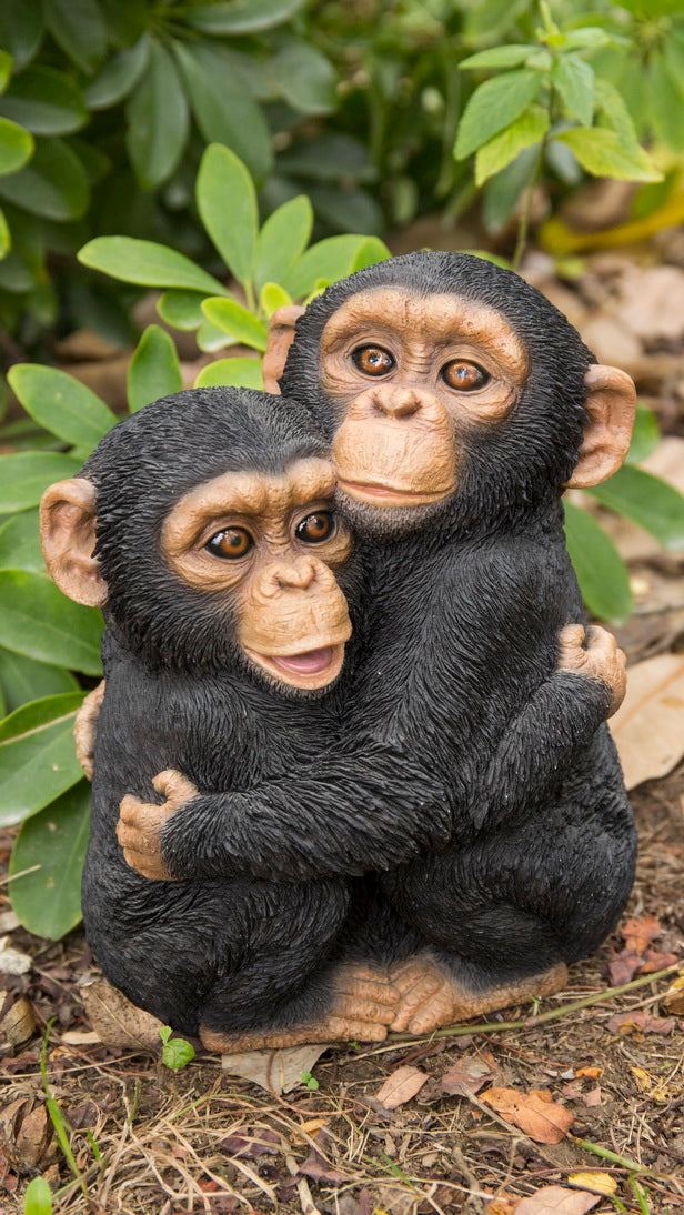 87805-B - CHIMPANZEES HUGGING