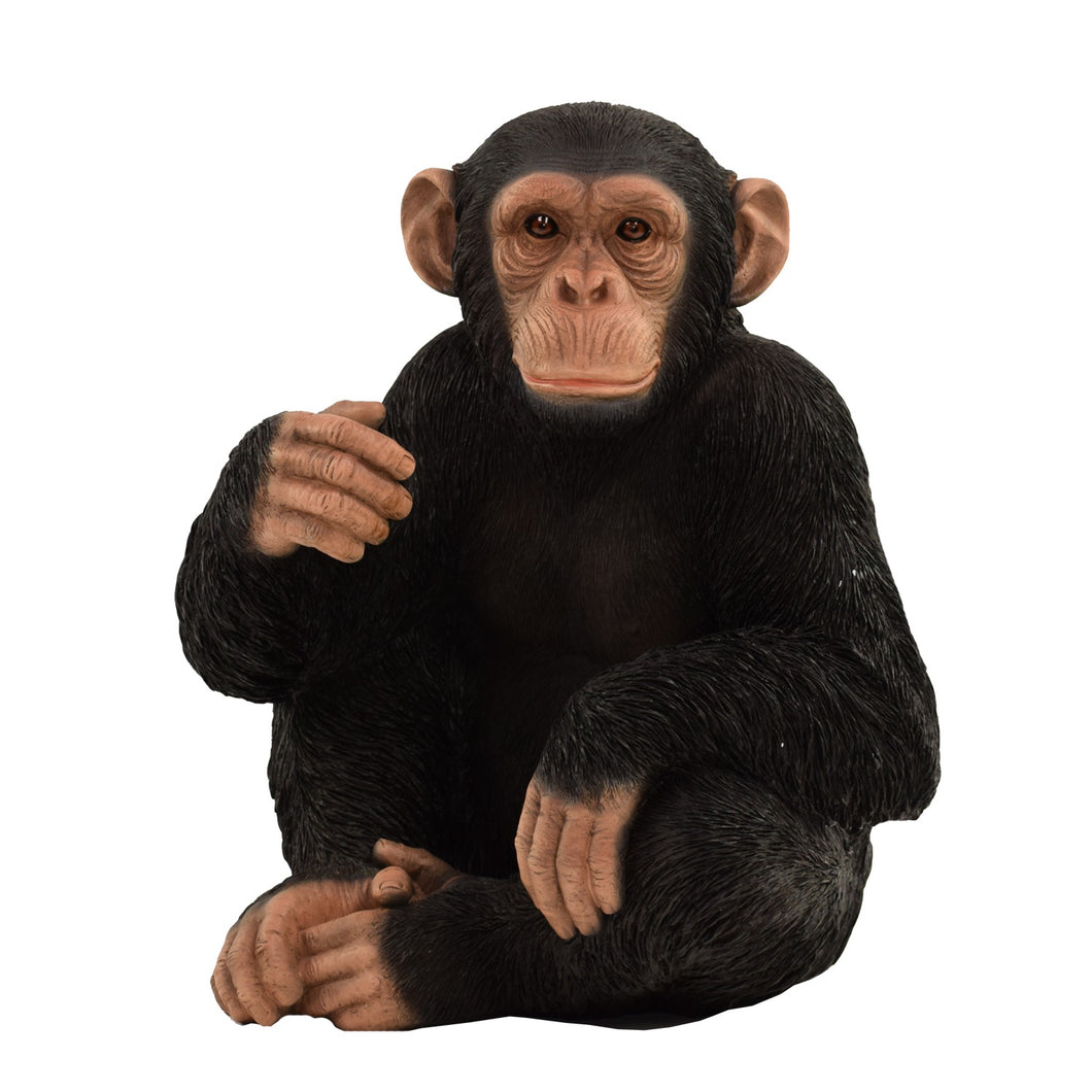 87806 - MONKEY SITTING