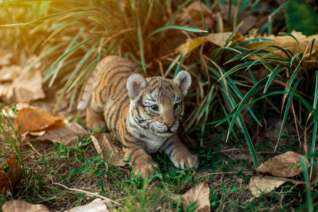 87808-A - TIGER BABY PLAYING