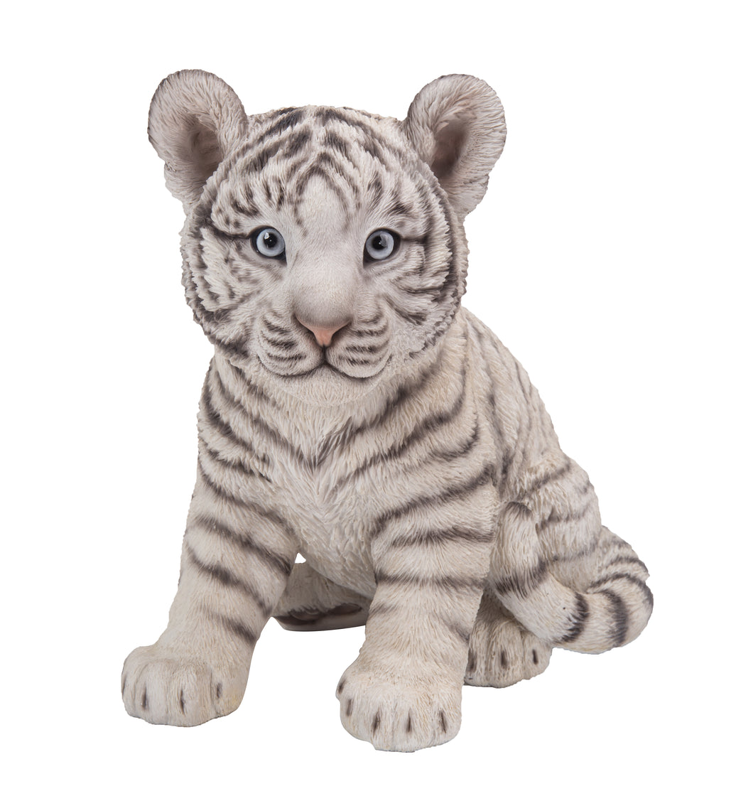 TIGER BABY SITTING-WHITE