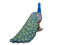 Load image into Gallery viewer, 87809 - PEACOCK
