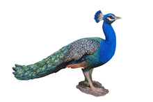 Load image into Gallery viewer, 87809 - PEACOCK
