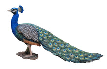 Load image into Gallery viewer, 87809 - PEACOCK
