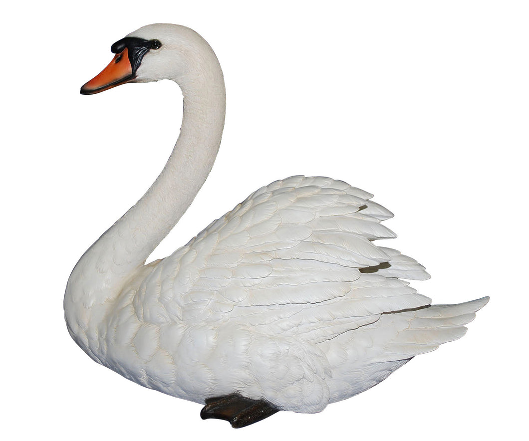 87812 - SWAN