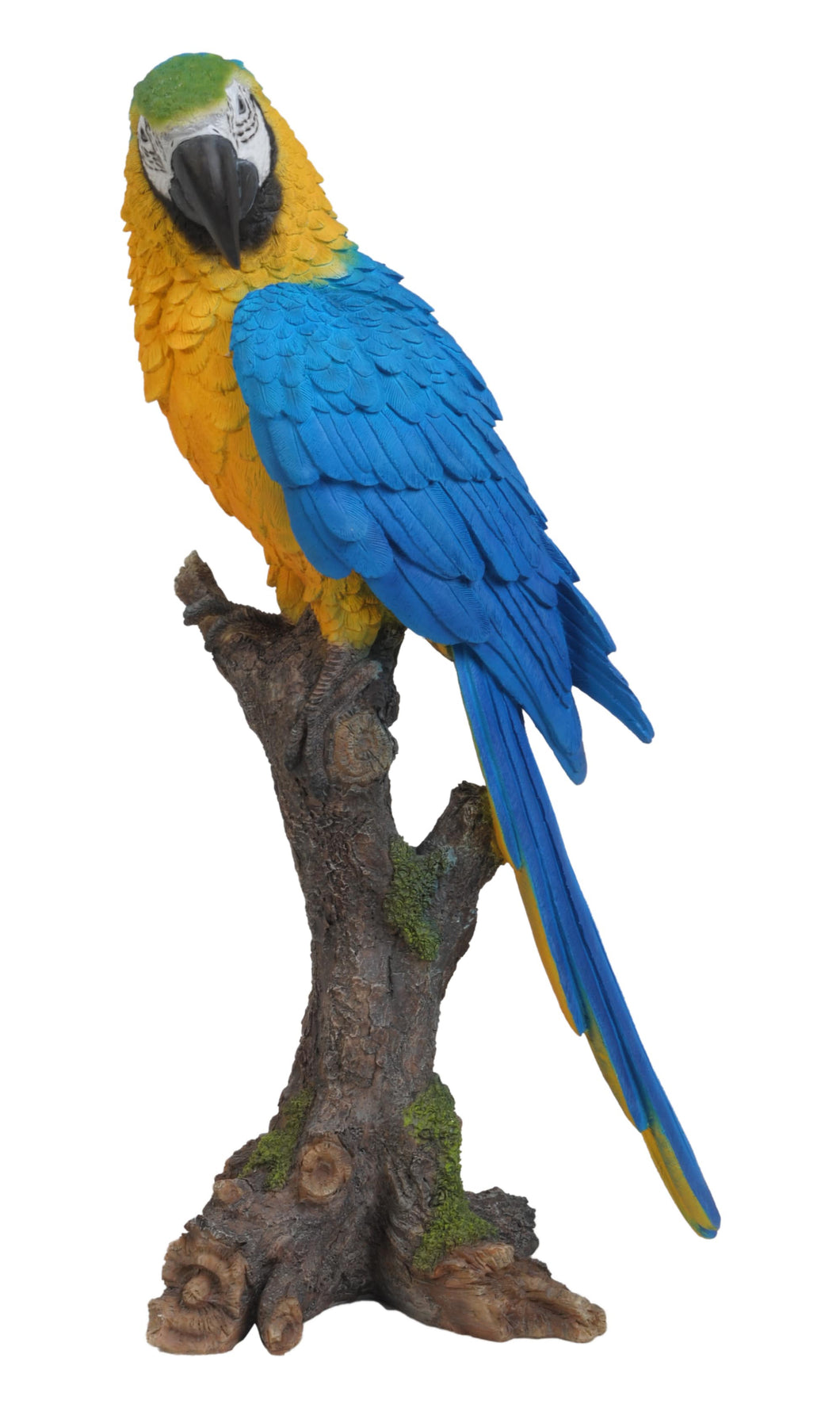 PARROT ON BRANCH - BLUE/YELLOW