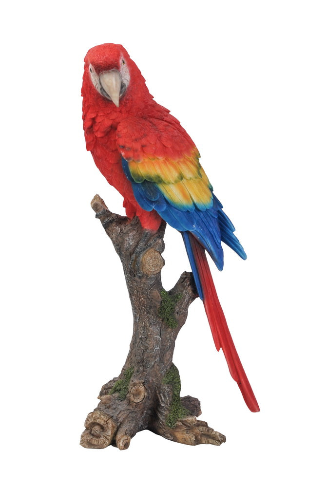 PARROT ON BRANCH - SCARLET