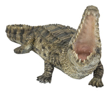 Load image into Gallery viewer, 87820 - CROCODILE WITH MOUTH OPEN UP
