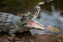 Load image into Gallery viewer, 87820 - CROCODILE WITH MOUTH OPEN UP
