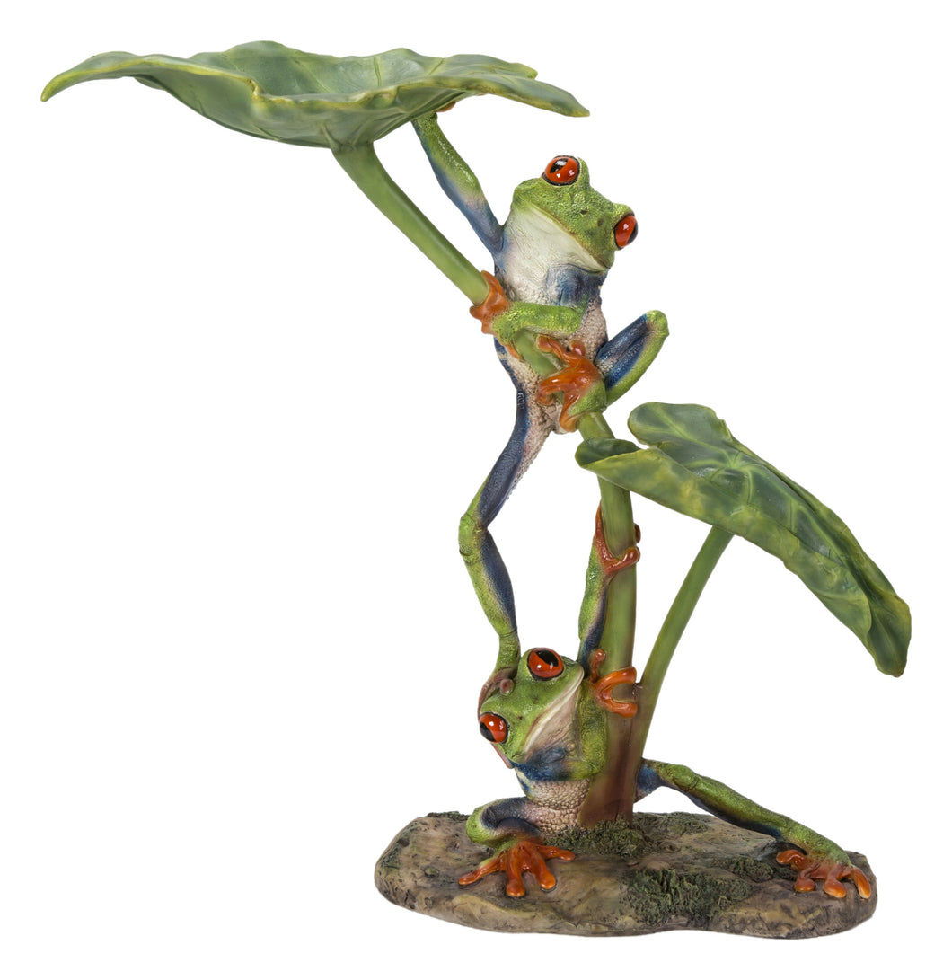 87822-A - LOTUS LEAF WITH RED-EYED TREE FROG