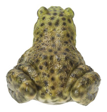 Load image into Gallery viewer, 87822-B - AMERICAN BULLFROG
