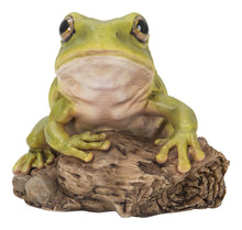 Load image into Gallery viewer, 87822-C - WHITE&#39;S TREE FROG
