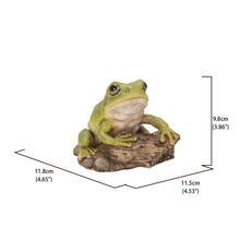 Load image into Gallery viewer, 87822-C - WHITE&#39;S TREE FROG
