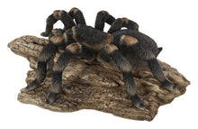 Load image into Gallery viewer, 87823-A - TARANTULA
