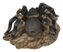 Load image into Gallery viewer, 87823-A - TARANTULA
