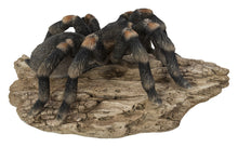 Load image into Gallery viewer, 87823-A - TARANTULA
