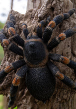 Load image into Gallery viewer, 87823-A - TARANTULA
