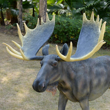 Load image into Gallery viewer, Tall Majestic Moose Statue
