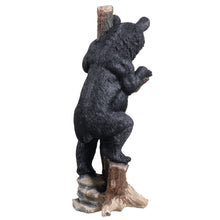 Load image into Gallery viewer, Climbing Black Bear Cub Statue
