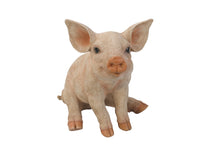 Load image into Gallery viewer, 87939 - PIG-SITTING-MEDIUM
