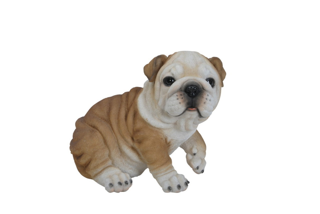 87943 - DOG-BULLDOG PUPPY