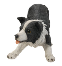 Load image into Gallery viewer, DOG-BORDER COLLIE
