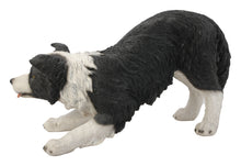 Load image into Gallery viewer, DOG-BORDER COLLIE

