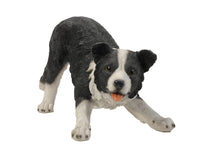 Load image into Gallery viewer, DOG-BORDER COLLIE
