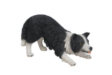 Load image into Gallery viewer, DOG-BORDER COLLIE
