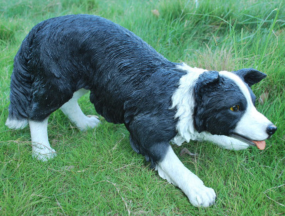 DOG-BORDER COLLIE