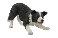 Load image into Gallery viewer, DOG-BORDER COLLIE
