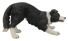 Load image into Gallery viewer, DOG-BORDER COLLIE
