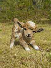 Load image into Gallery viewer, 87946-B - LAMB PLAYING - BROWN/WHITE-SMALL
