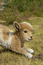 Load image into Gallery viewer, 87946-B - LAMB PLAYING - BROWN/WHITE-SMALL
