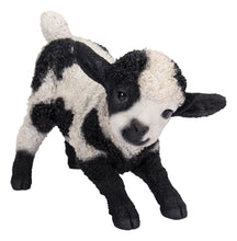 Load image into Gallery viewer, 87946-C - LAMB PLAYING - BLACK/WHITE-SMALL
