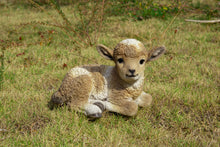 Load image into Gallery viewer, 87946-D - LAMB LYING DOWN - BROWN/WHITE-SMALL
