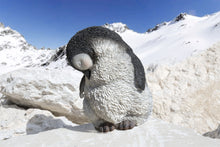 Load image into Gallery viewer, PENGUIN SLEEPING-LARGE
