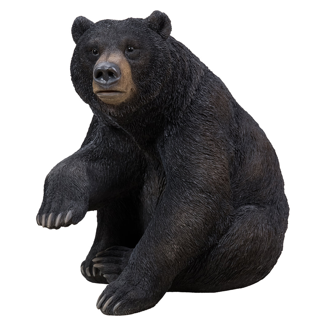 BLACK BEAR SITTING W/ONE PAW UP