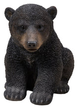 Load image into Gallery viewer, BLACK BEAR CUB SITTING
