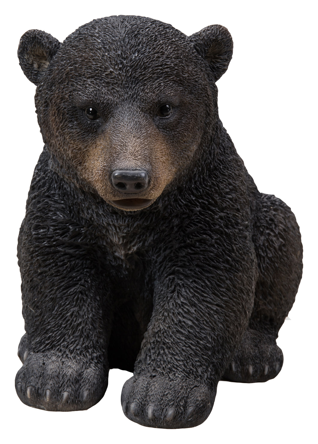 BLACK BEAR CUB SITTING