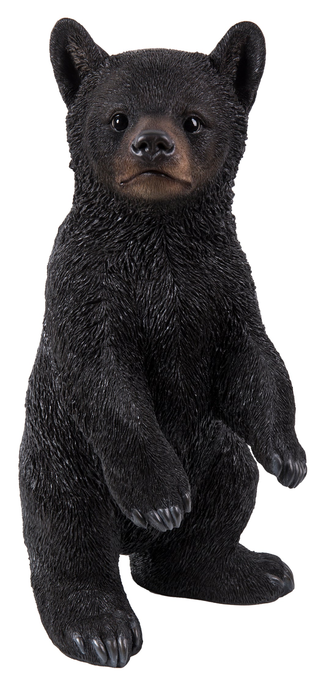BLACK BEAR CUB STANDING