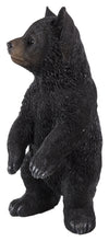 Load image into Gallery viewer, BLACK BEAR CUB STANDING
