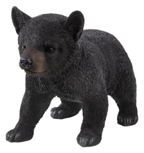 Load image into Gallery viewer, BLACK BEAR CUB WALKING
