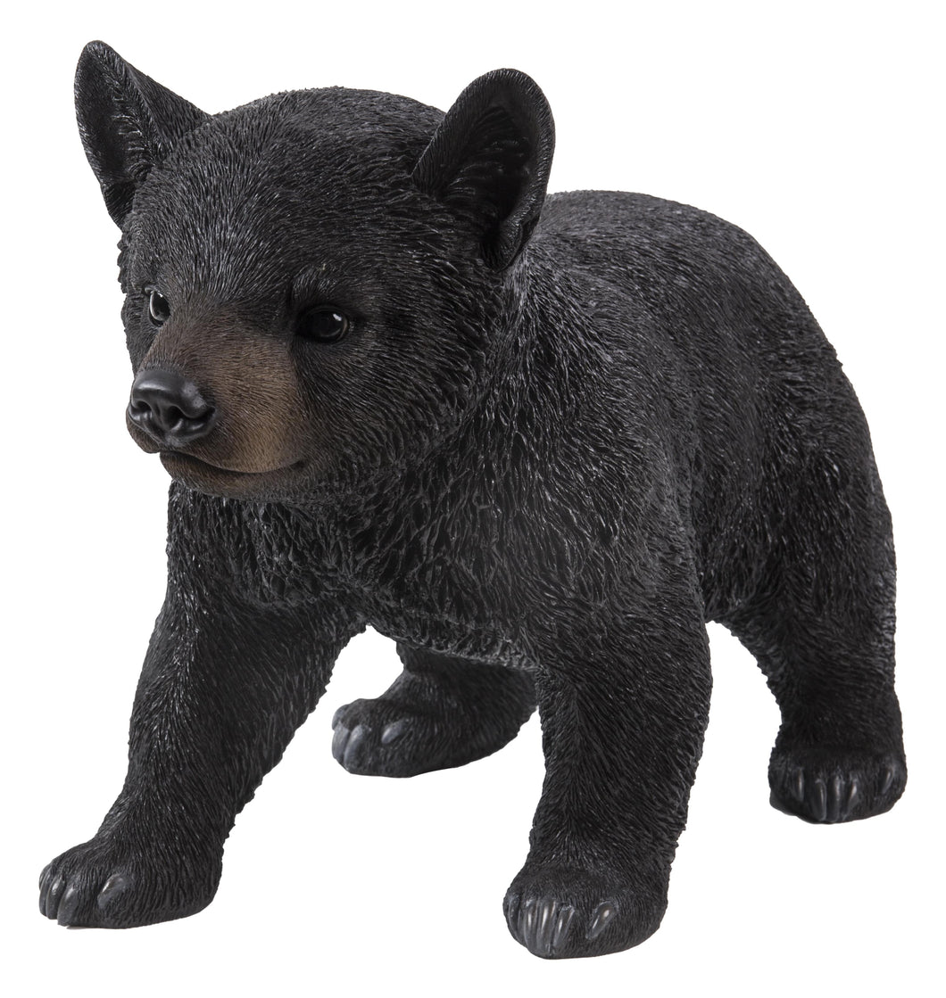 BLACK BEAR CUB WALKING